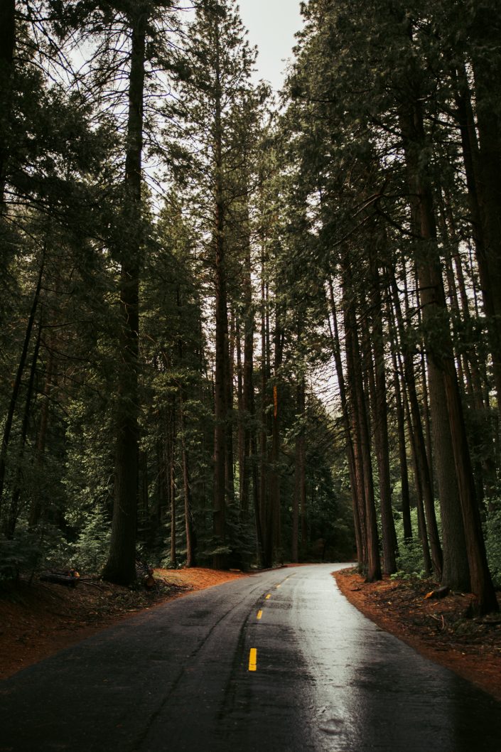 carretera en Yosemite California